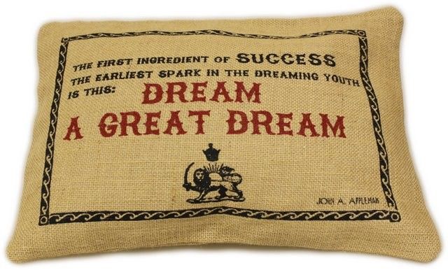 Washed Jute Cover 38x25cm - A Great Dream