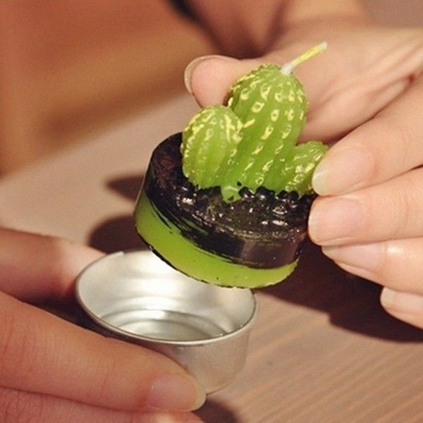 Set of 6 Barrel Cactus Tealights in Gift Box