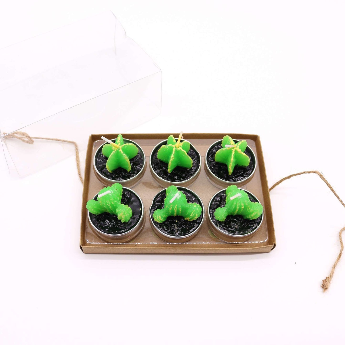 Set of 6 Monks Cactus Tealights in Gift Box