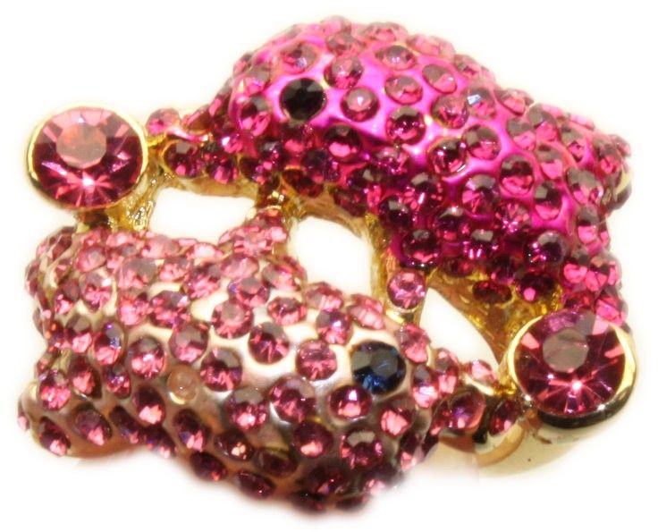 Dress Rings - Animal Magic Selection
