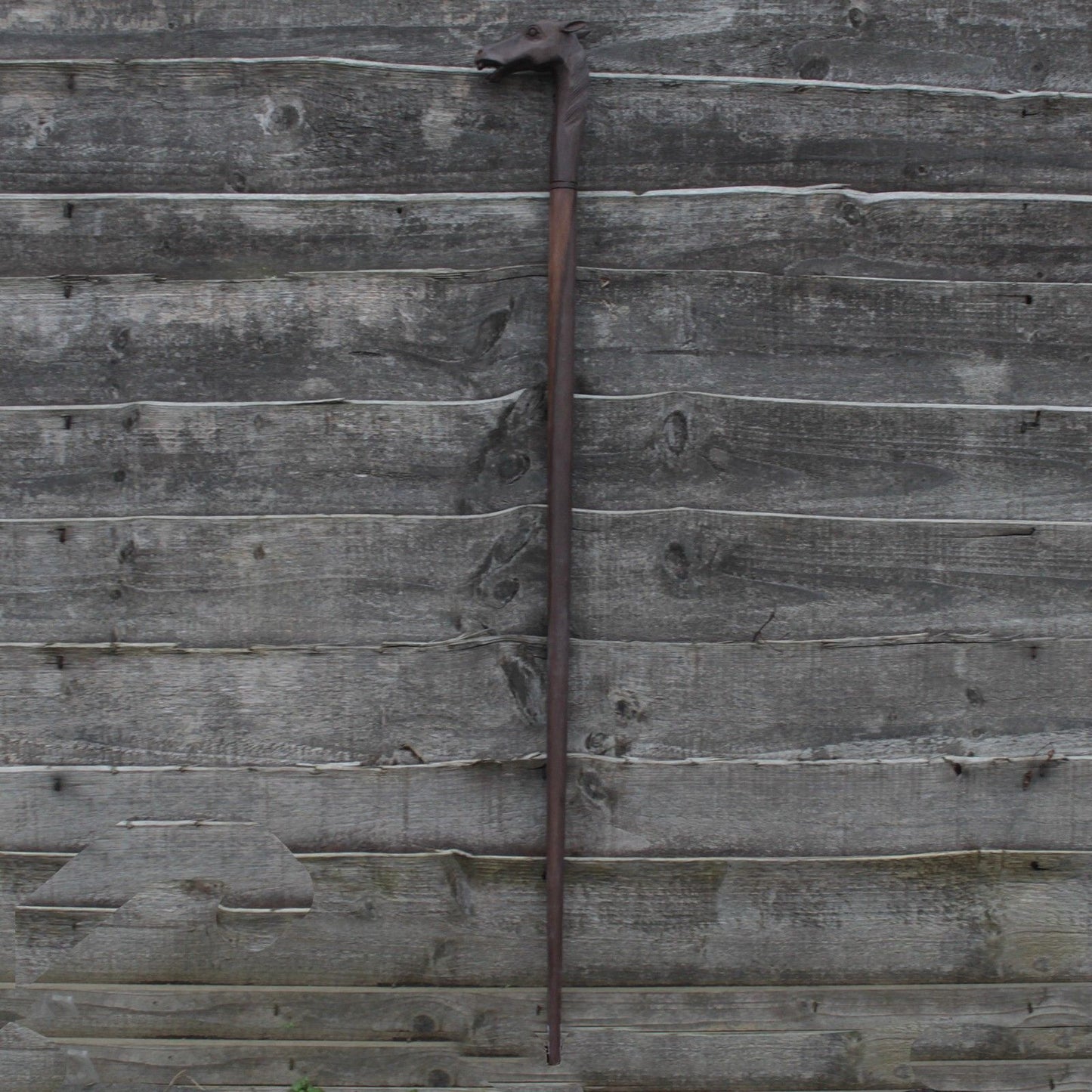 Walking Stick - Horse
