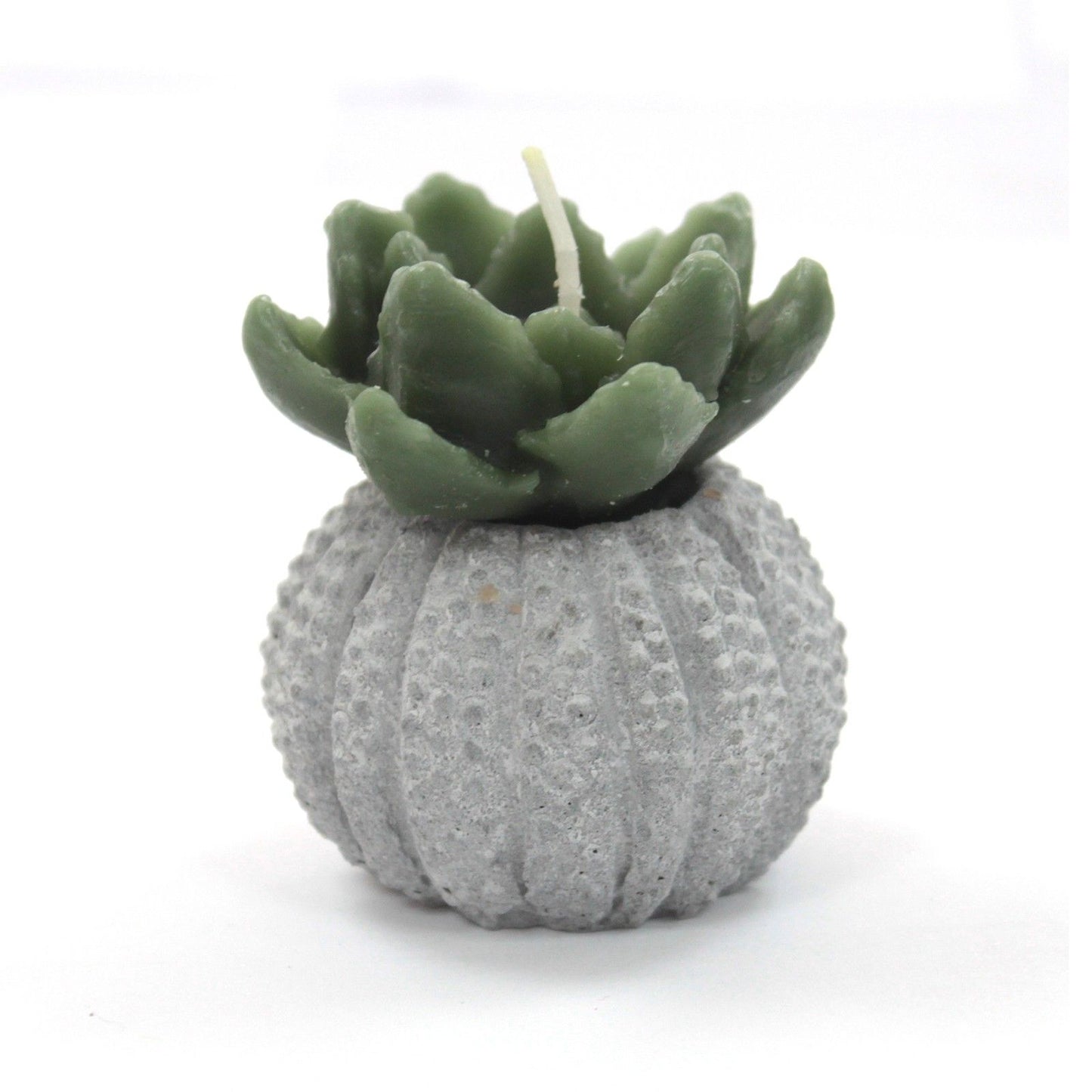 Cactus Candles - Cactus Pot (asst) Display
