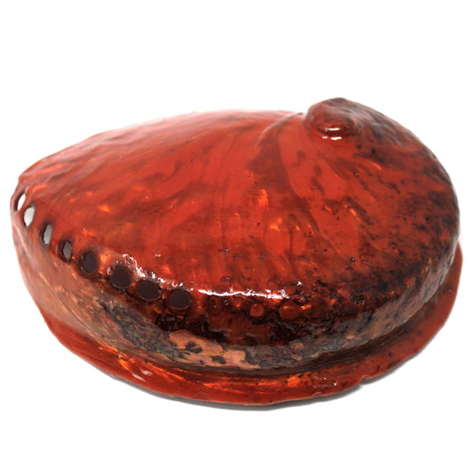 Natural Soap Dish