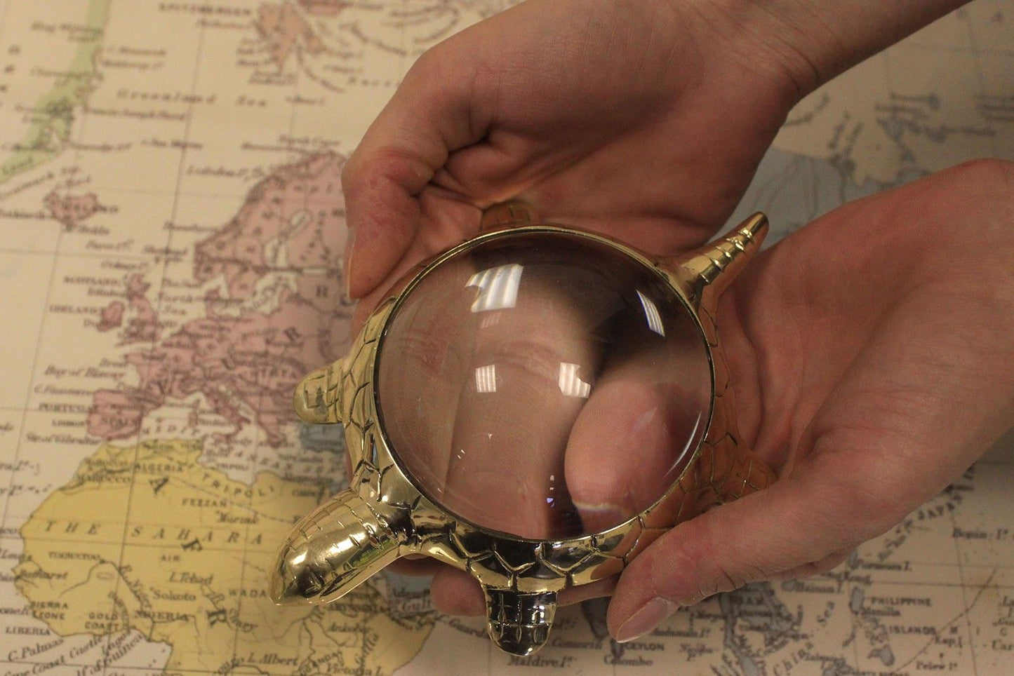Vintage Magnifying Glasses - Table Turtle