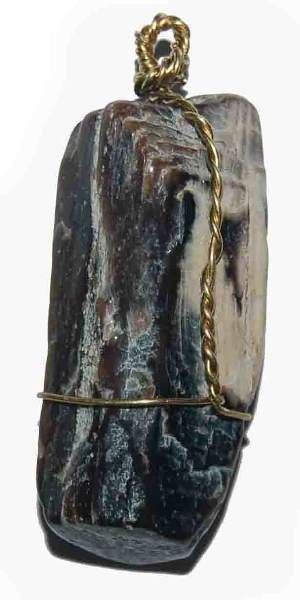 Wiring Pendants - Fossilised Wood