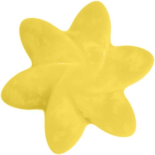 Natural Soy Wax Melts -Mango Fruits