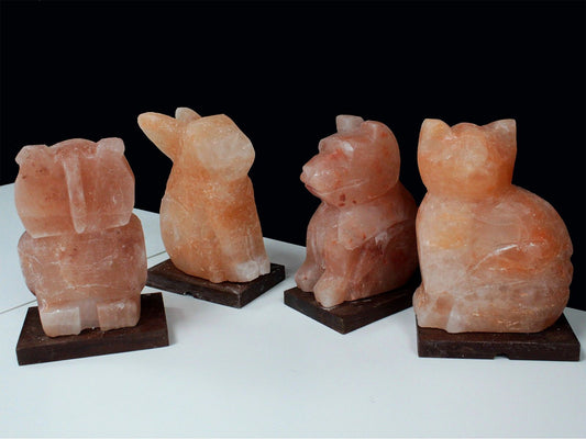 Animal salt lamsp - Cat