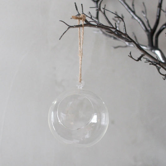 All Glass Terrarium - Globe Hanging Bowl