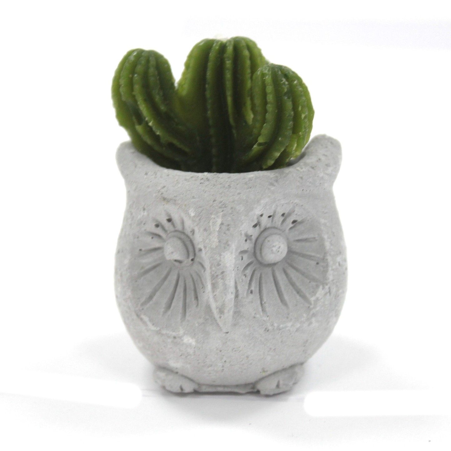 Cactus Candles - Owl Pot (asst) Display