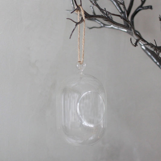 All Glass Terrarium - Oval Hanging Bowl