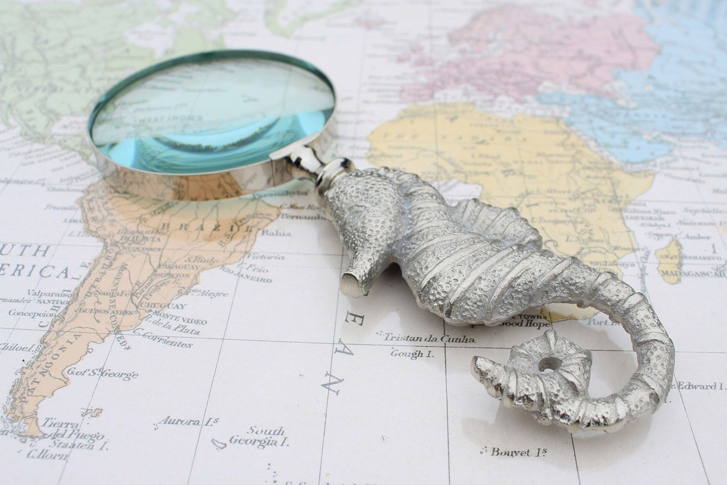 Vintage Magnifying Glasses - Seahorse