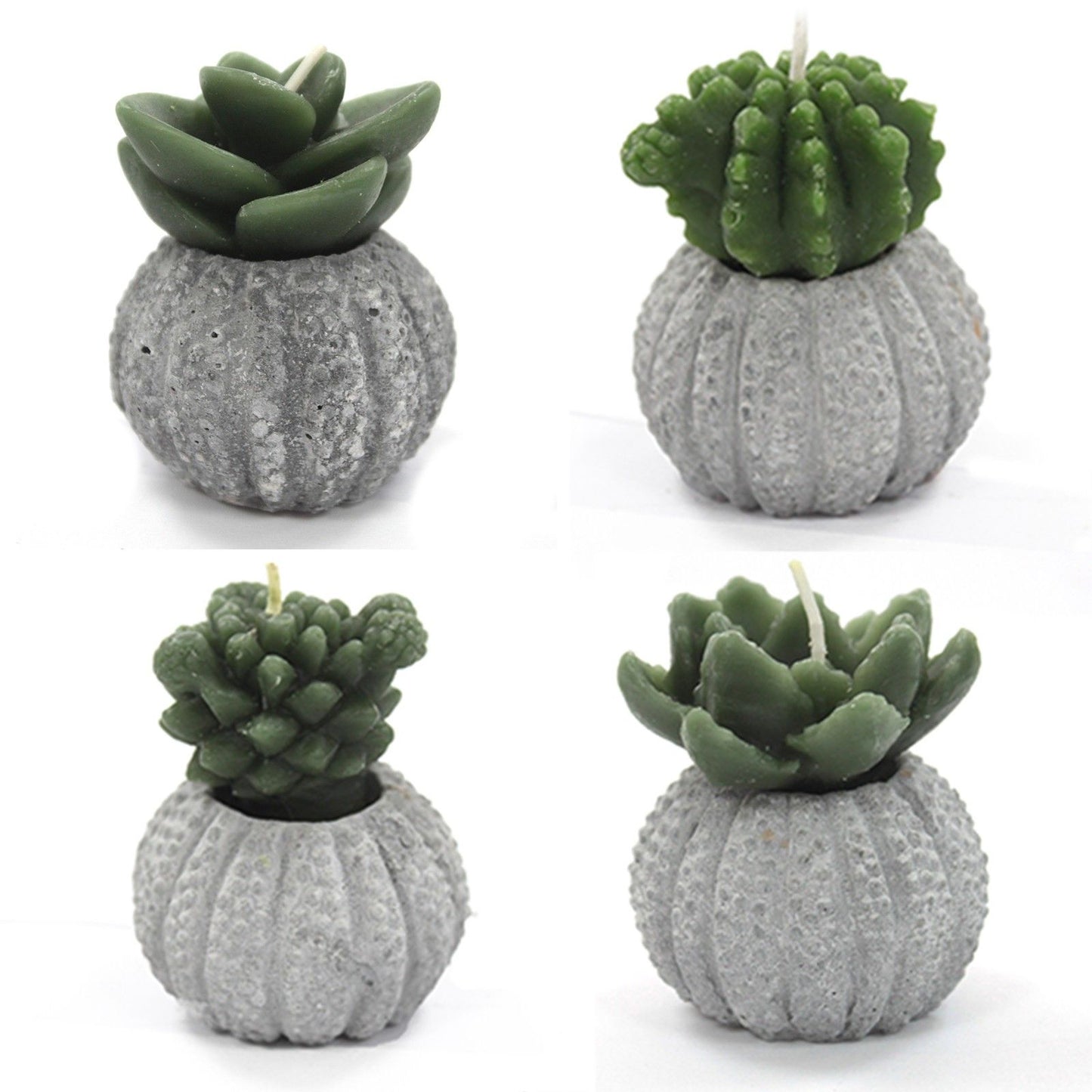 Cactus Candles - Cactus Pot (asst) Display