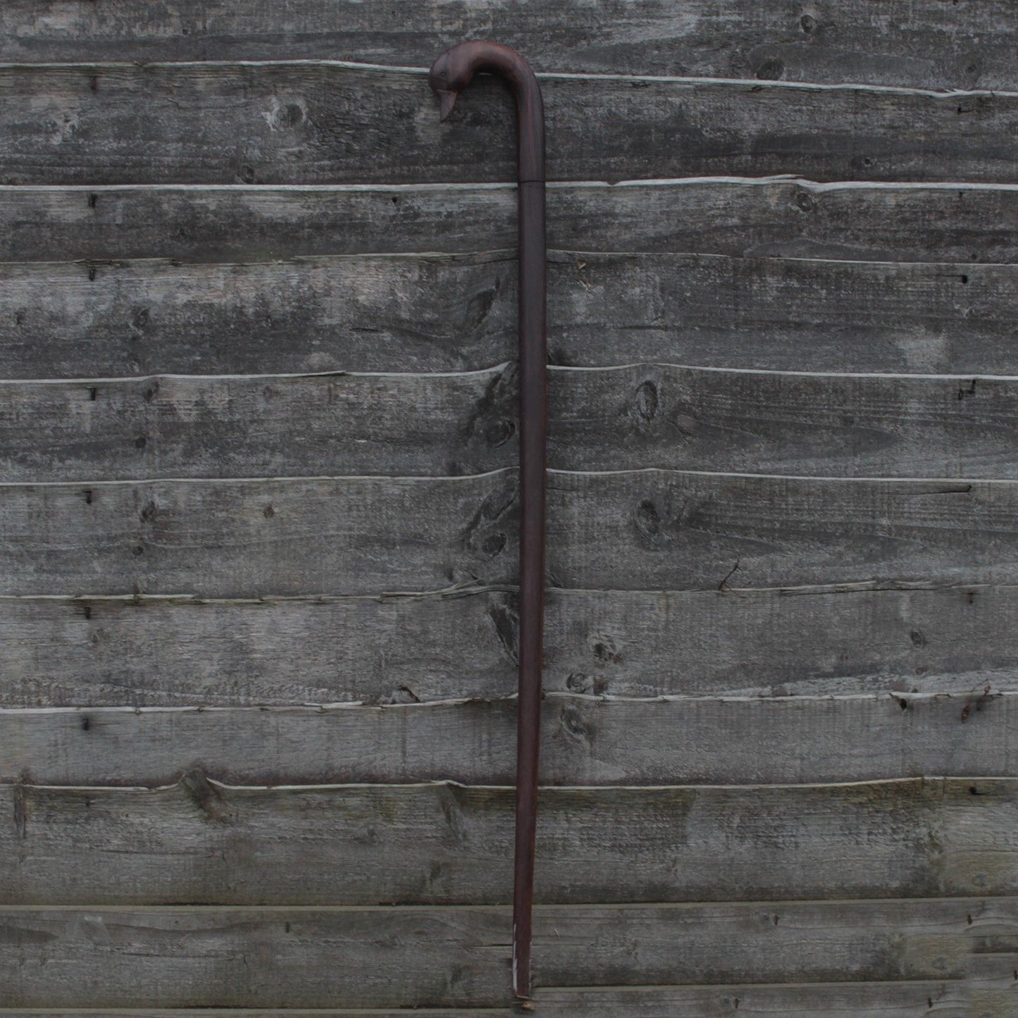 Walking Stick - Duck