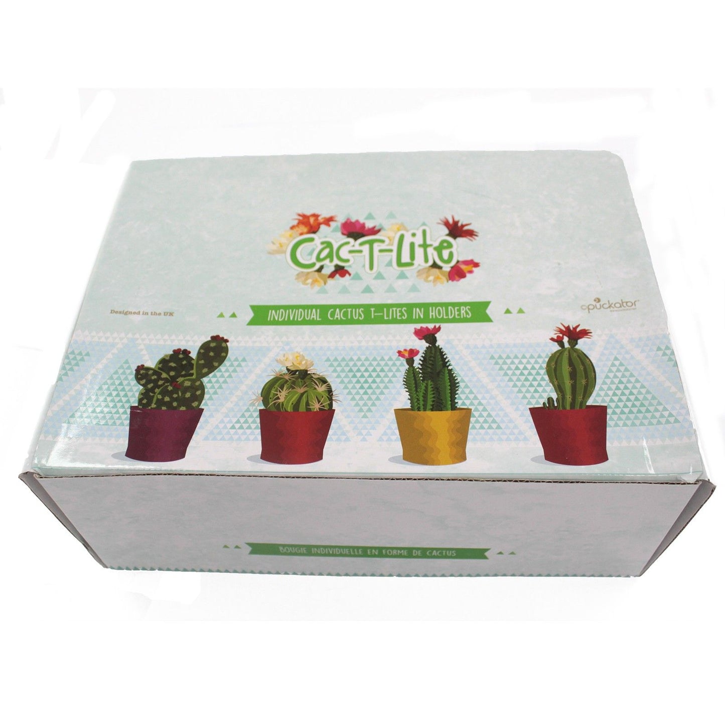 Cactus Candles - Animal Pot (asst) Display