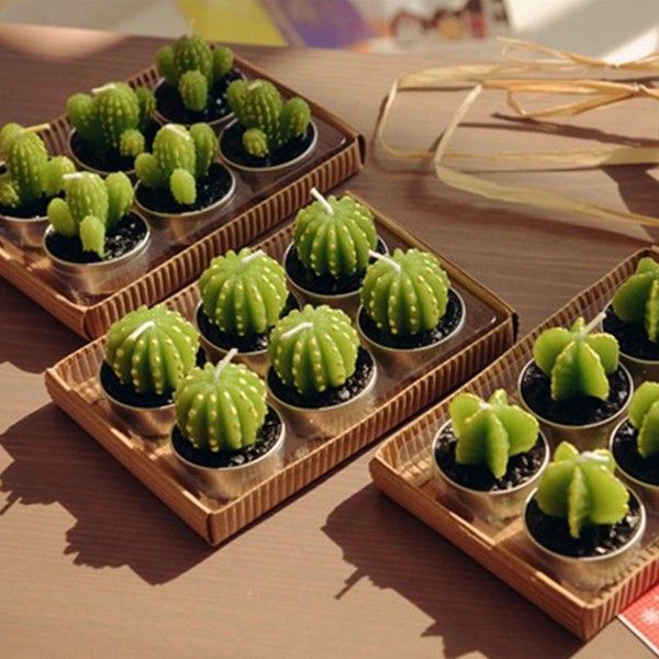 Set of 6 Succulent Cactus Tealights in Gift Box
