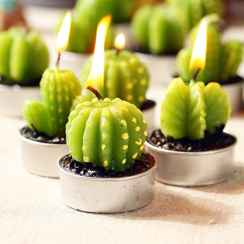 Set of 6 Agave Cactus Tealights in Gift Box