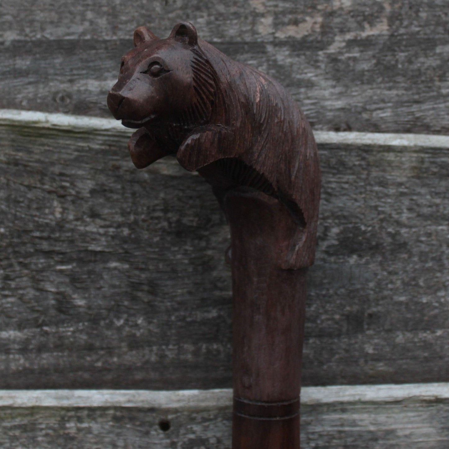 Walking Stick - Bear