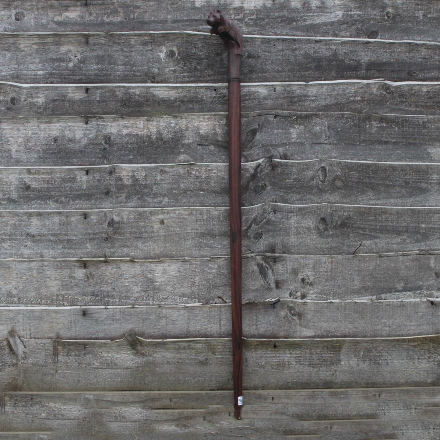 Walking Stick - Bear