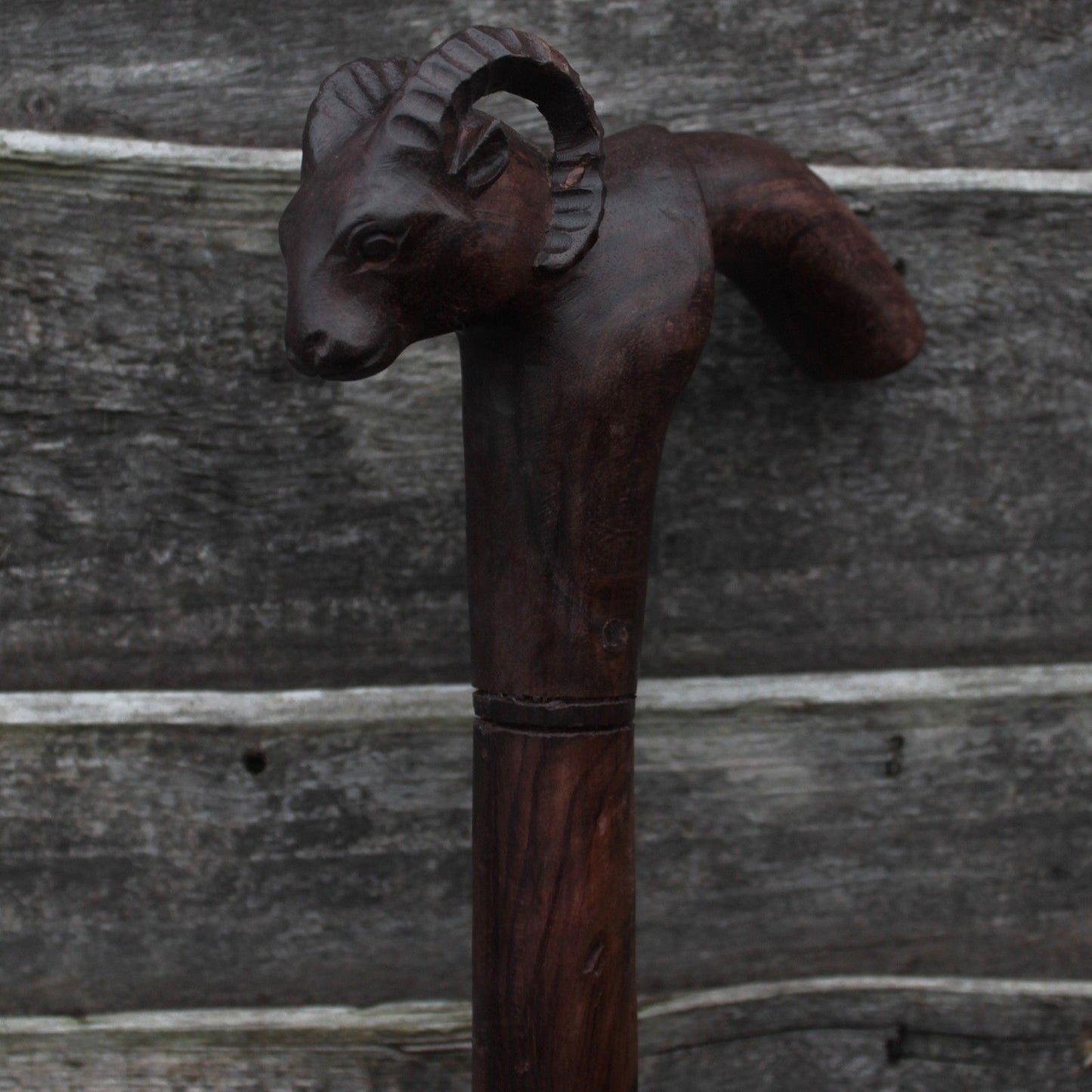 Walking Stick - Goat Handle
