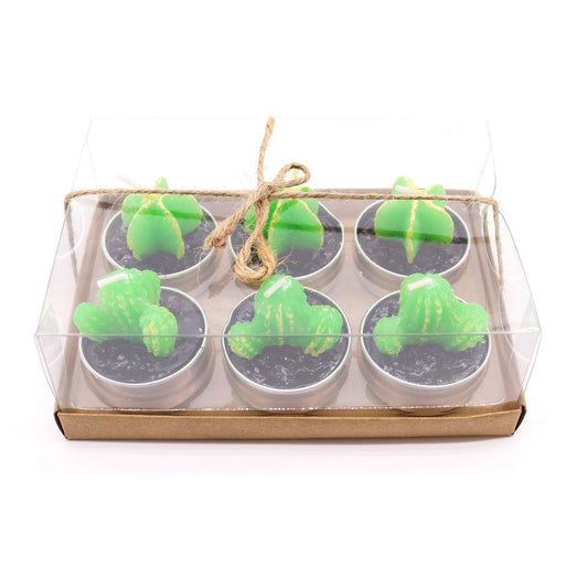 Set of 6 Monks Cactus Tealights in Gift Box