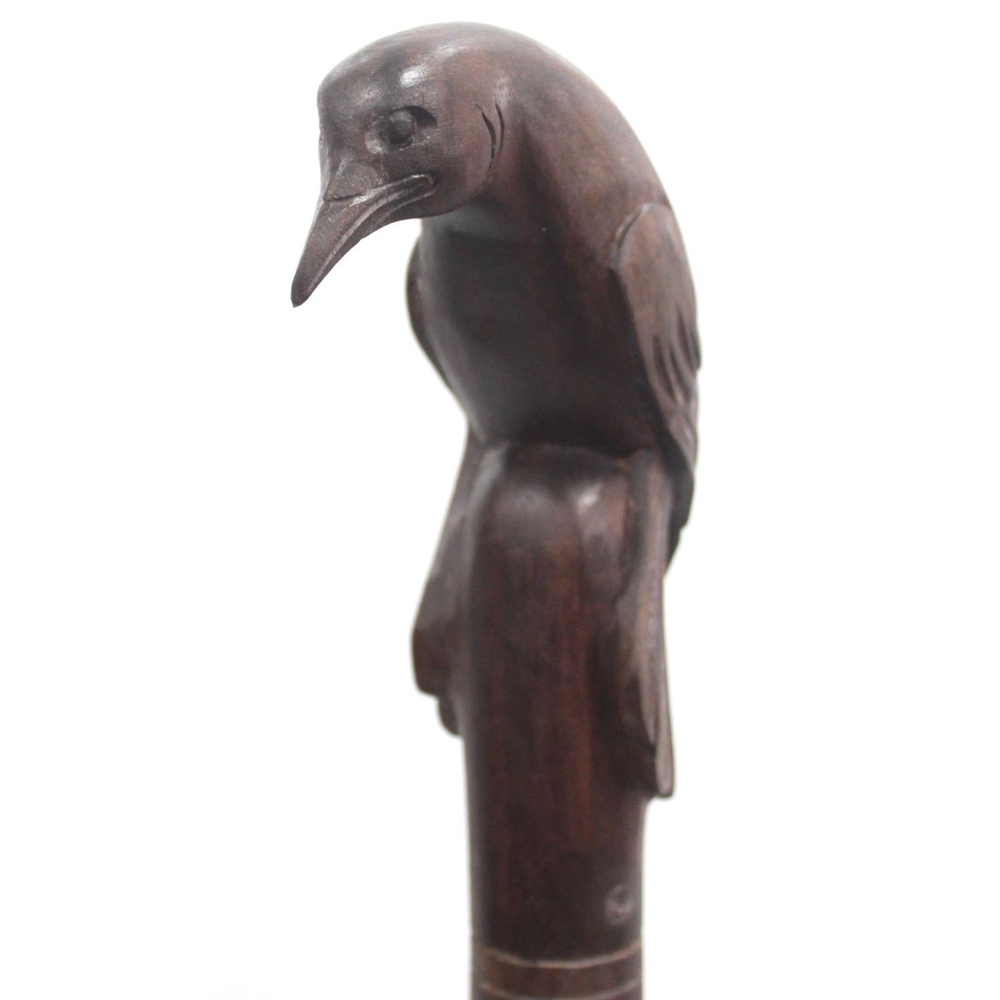 Walking Stick - Bird