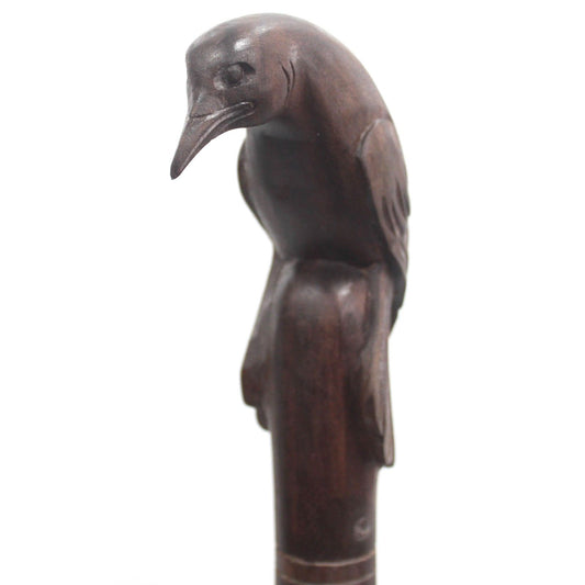 Walking Stick - Bird
