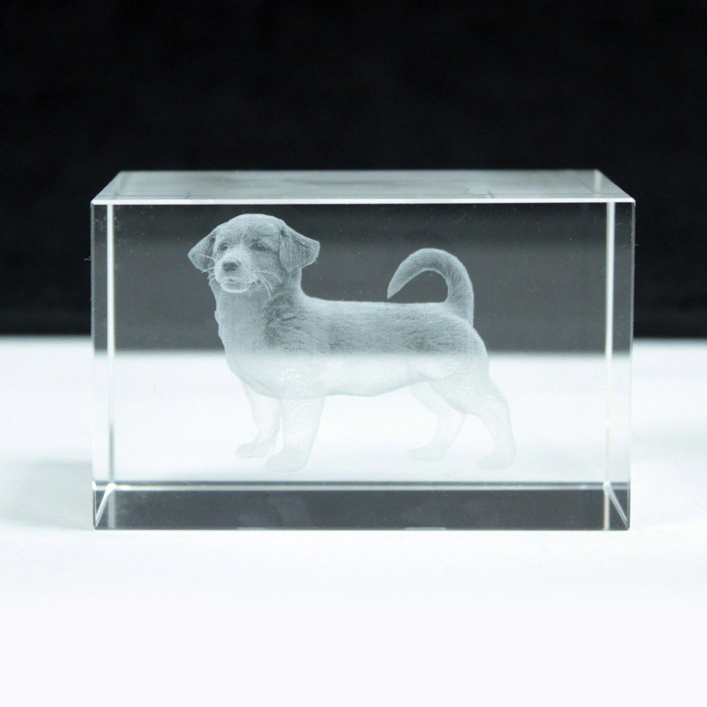 Laser Crystal Block - Dog