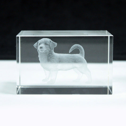 Laser Crystal Block - Dog