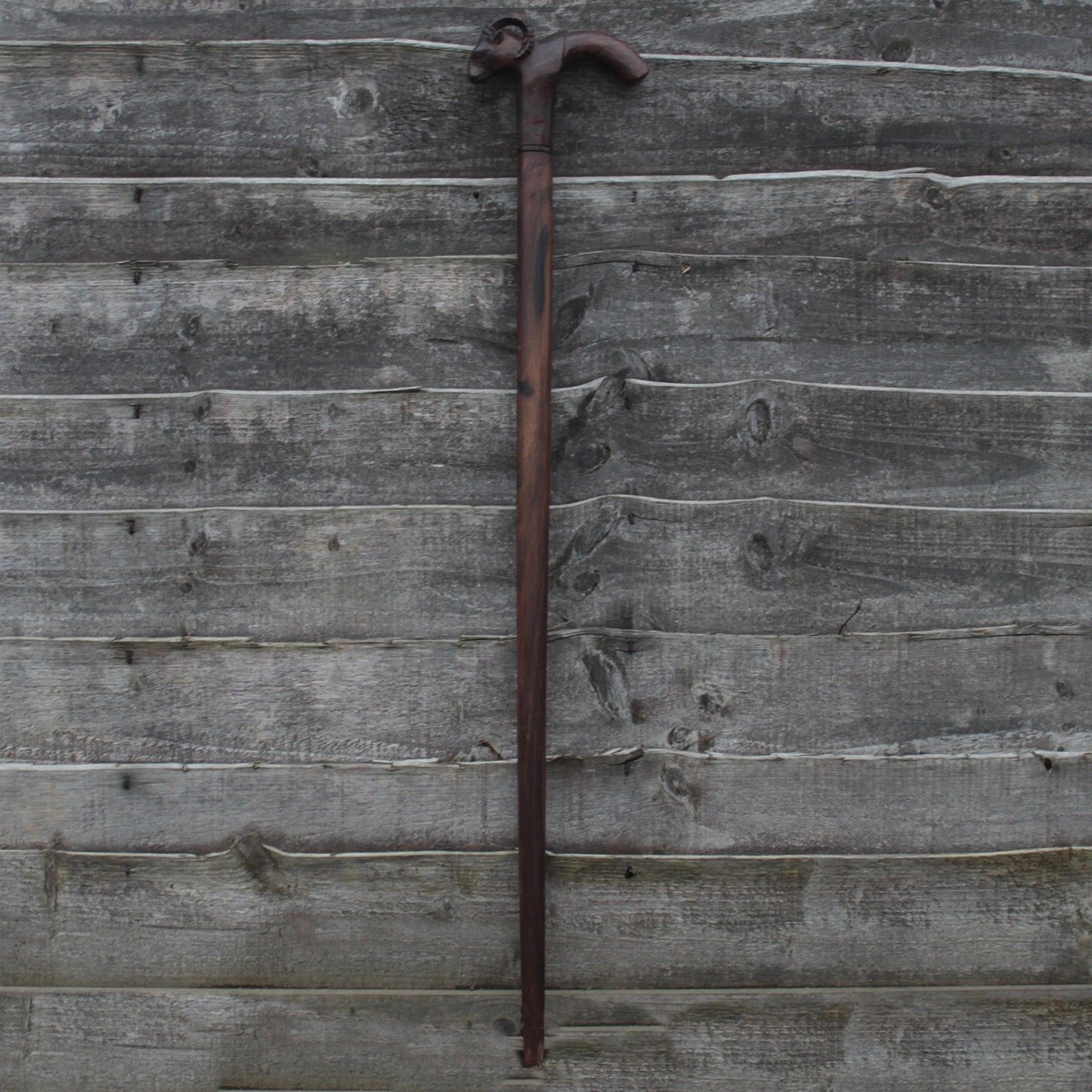 Walking Stick - Goat Handle