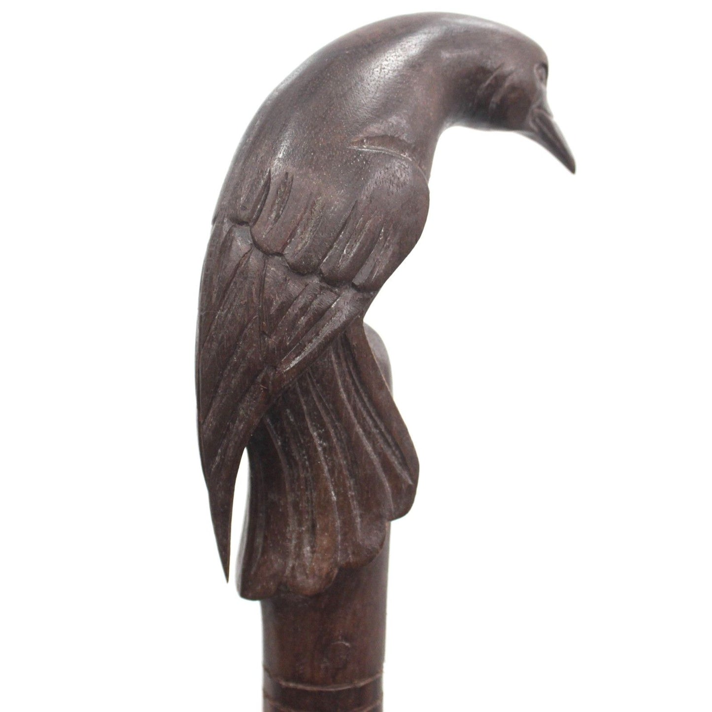 Walking Stick - Bird