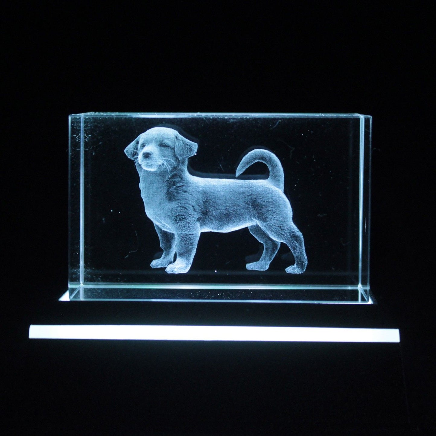 Laser Crystal Block - Dog