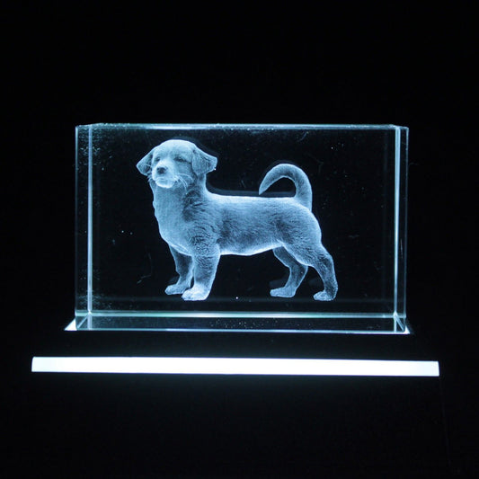 Laser Crystal Block - Dog