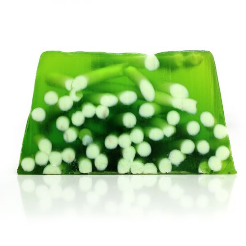 Lime & Ginger Spaghetti Soap - SLICE approx 100g