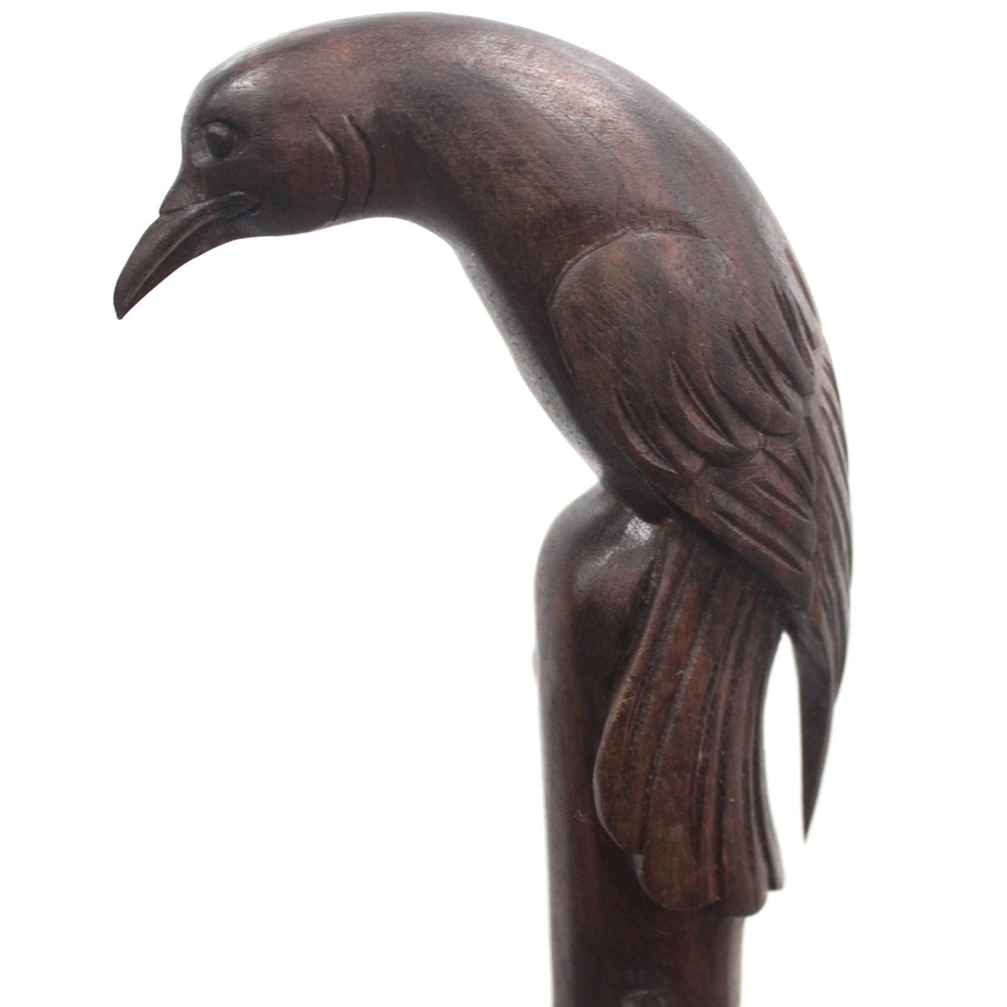 Walking Stick - Bird