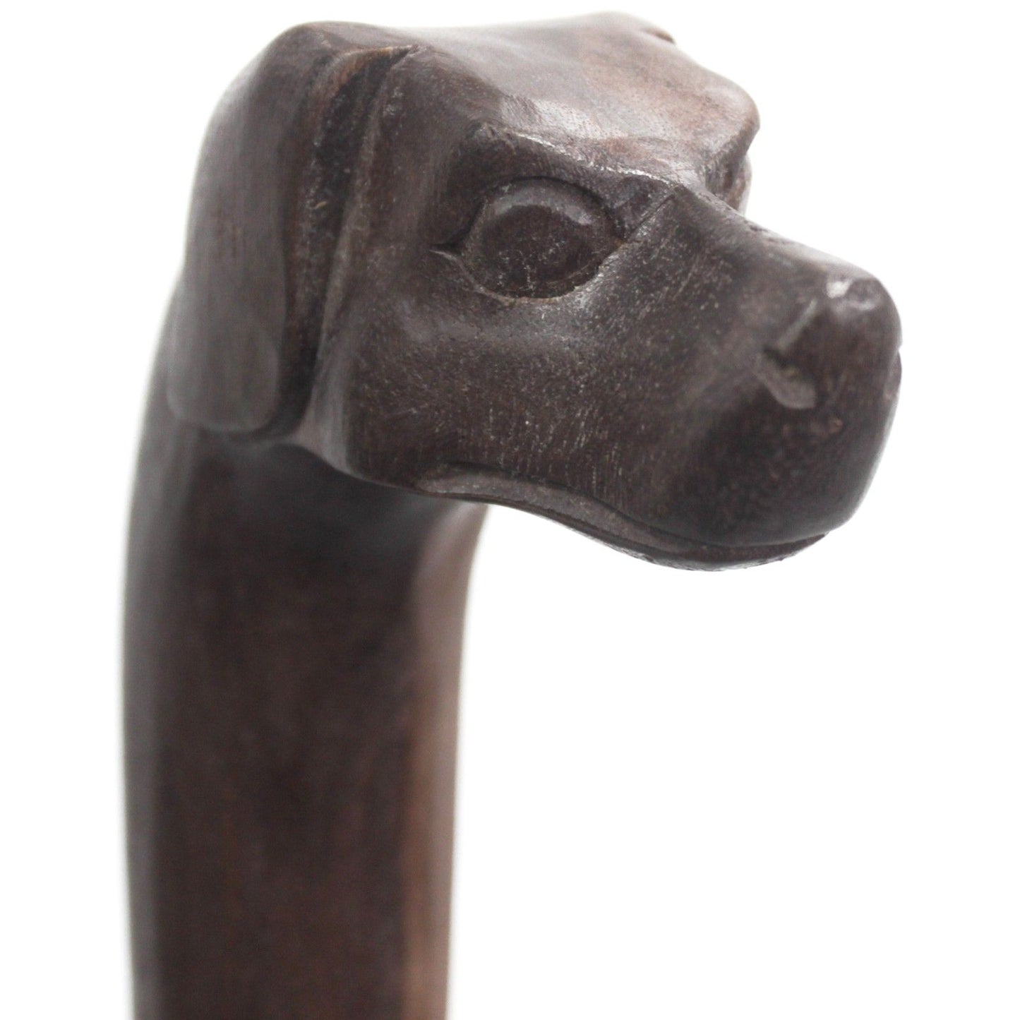 Walking Stick - Dog