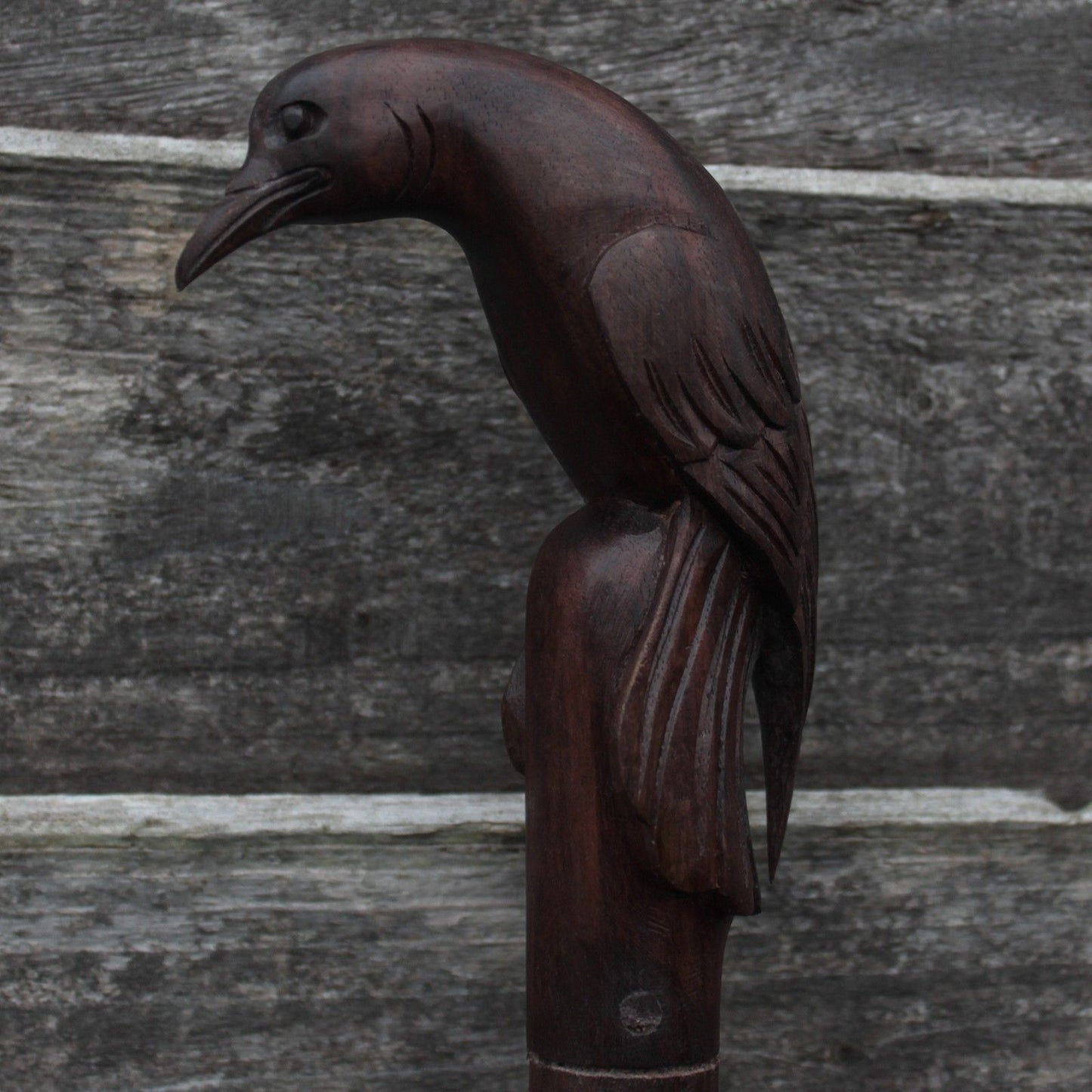 Walking Stick - Bird