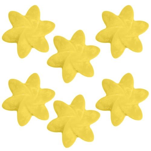 Natural Soy Wax Melts -Mango Fruits