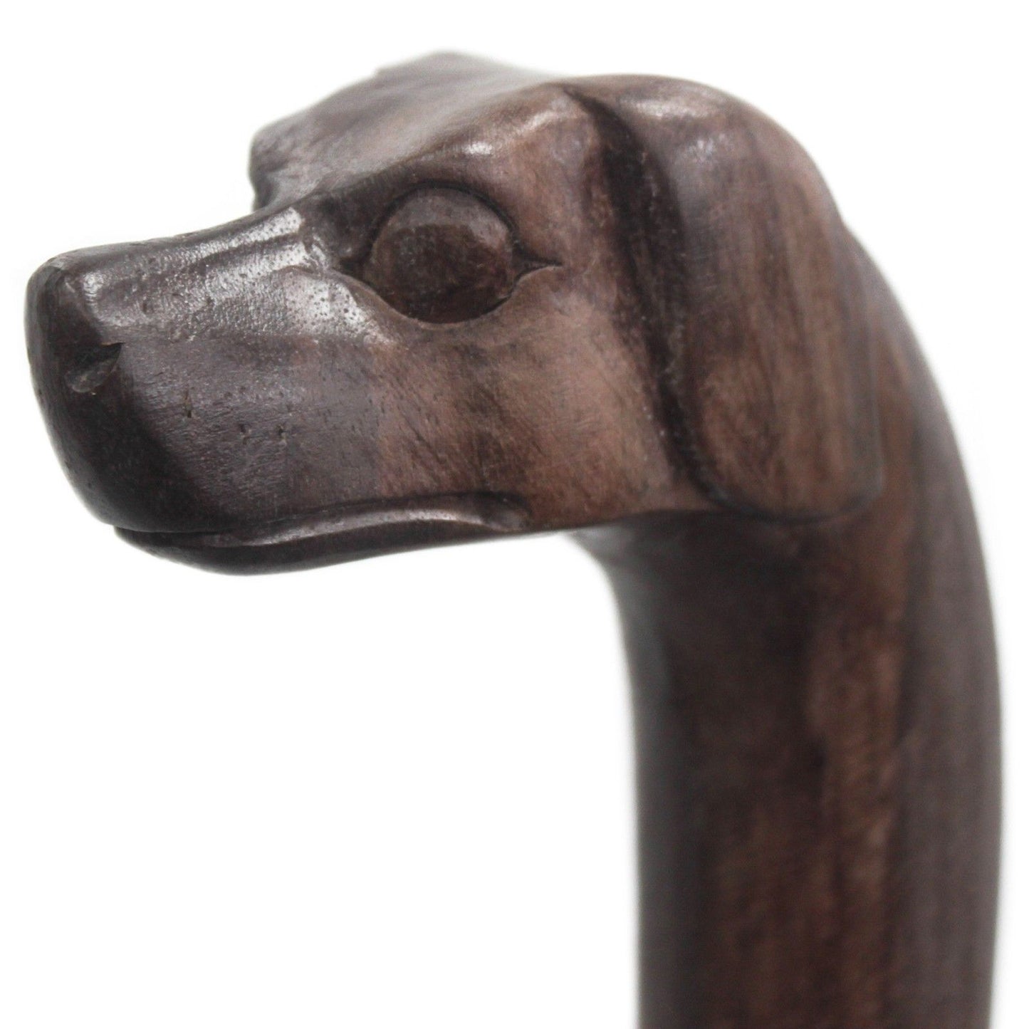 Walking Stick - Dog