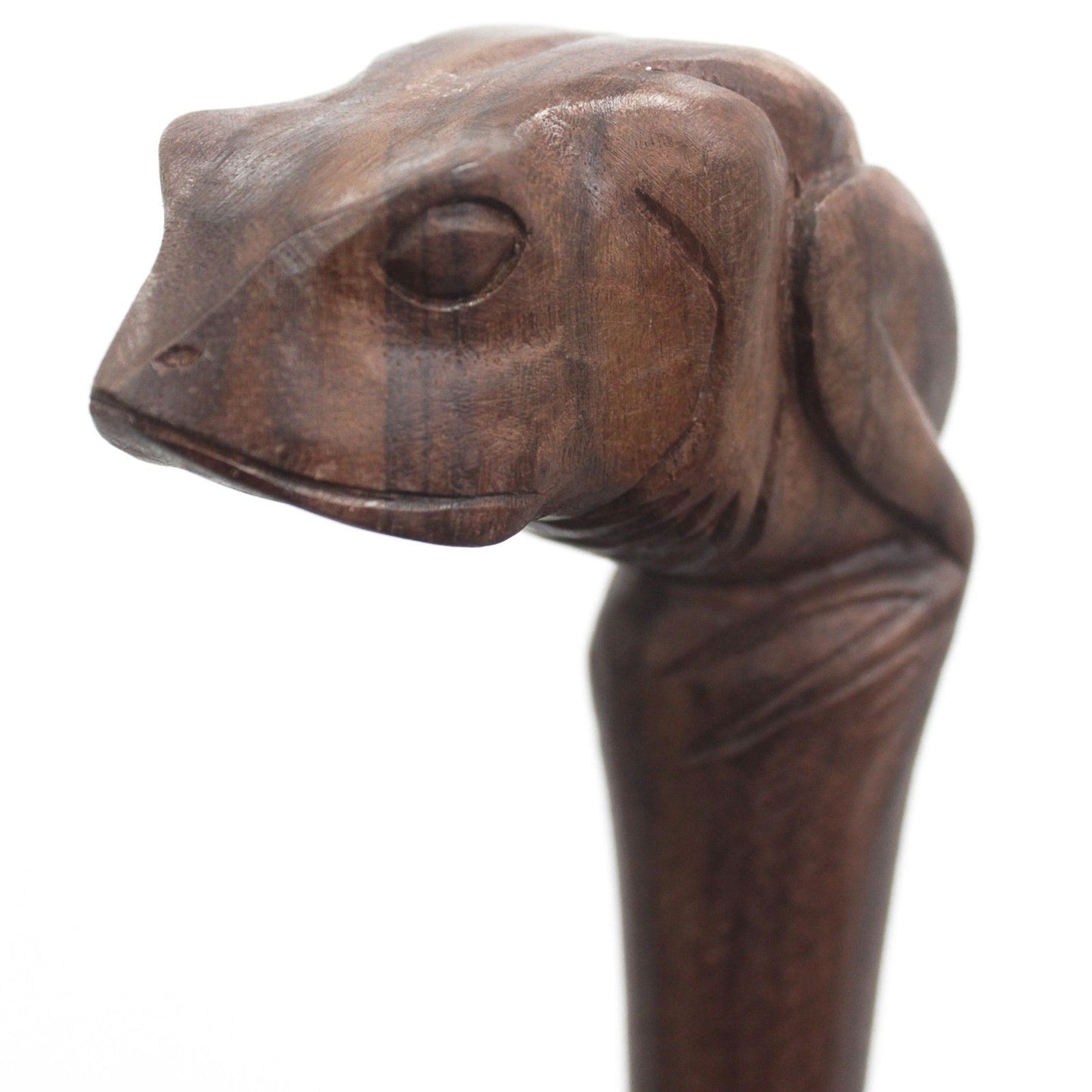 Walking Stick - Frog
