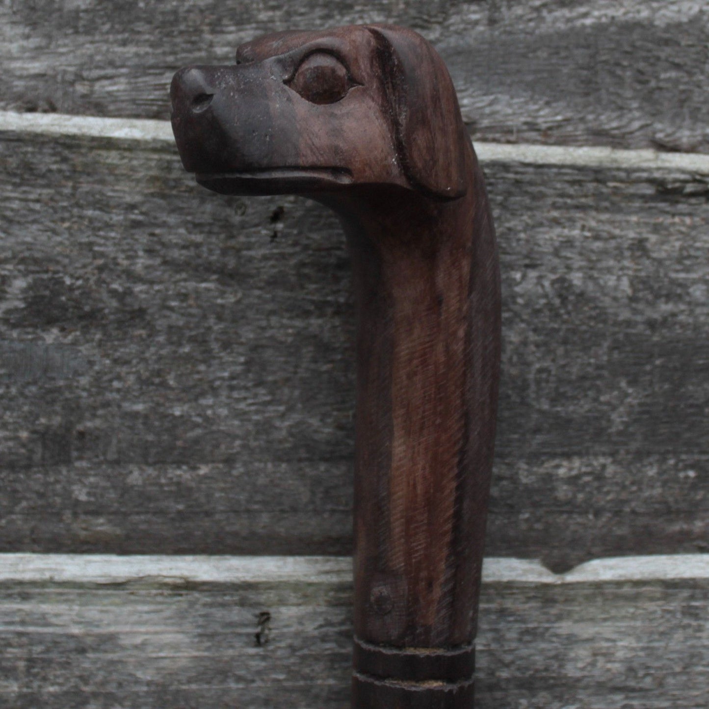 Walking Stick - Dog