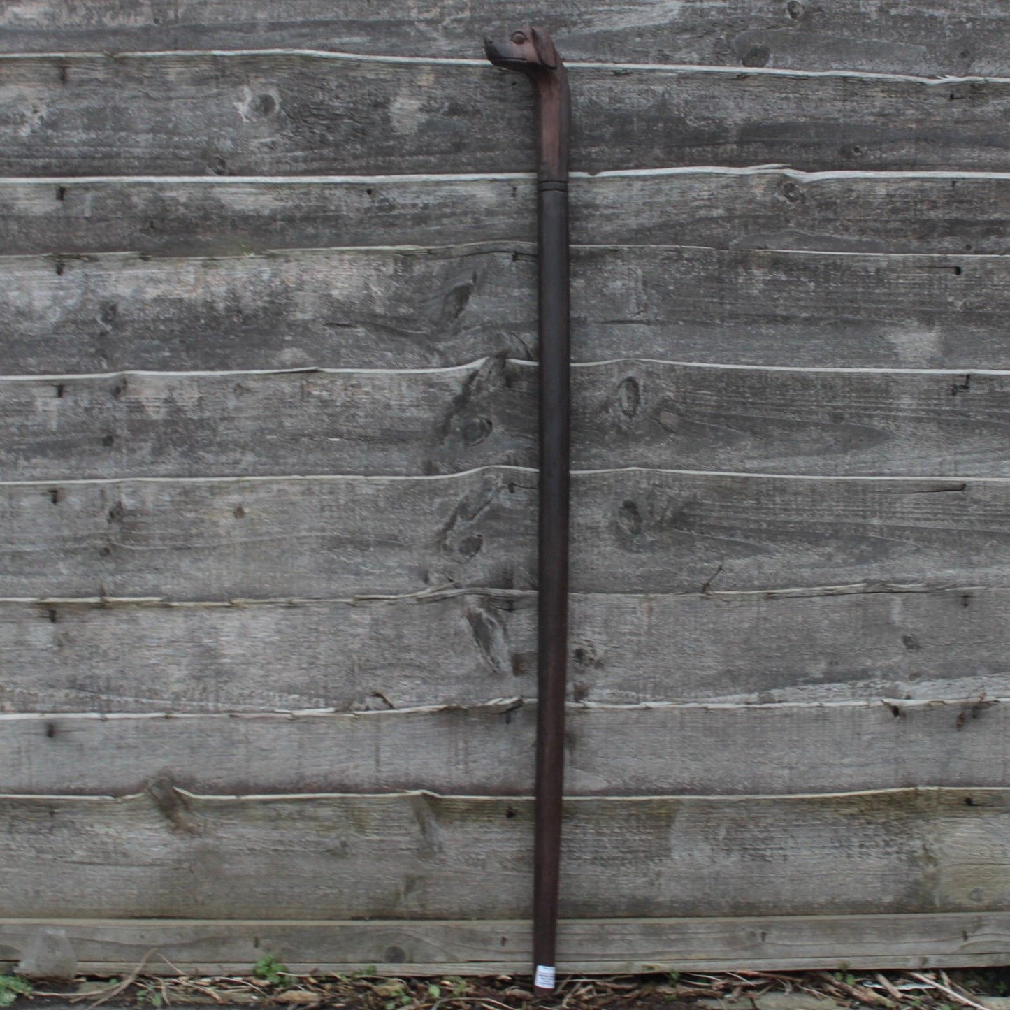Walking Stick - Dog