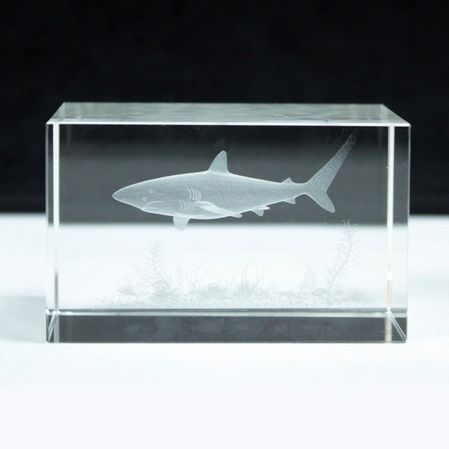 Laser Crystal Block - Shark