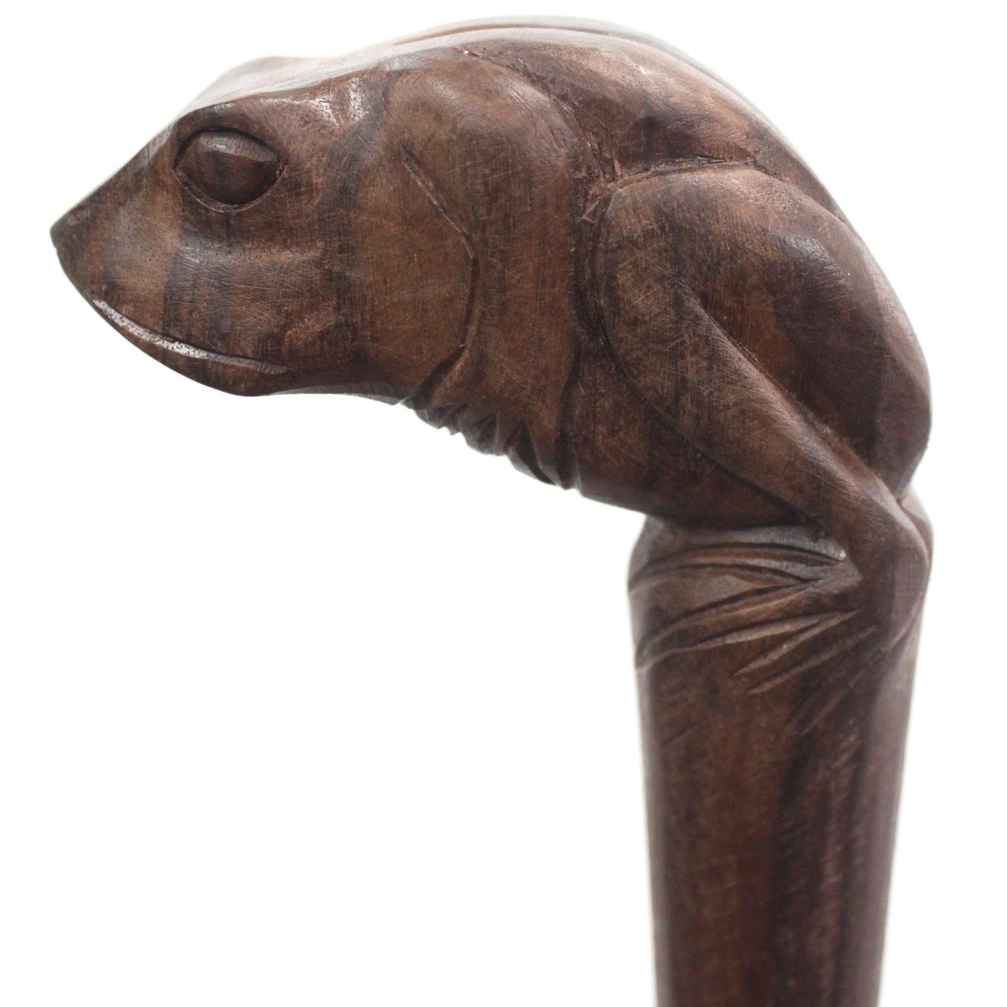 Walking Stick - Frog