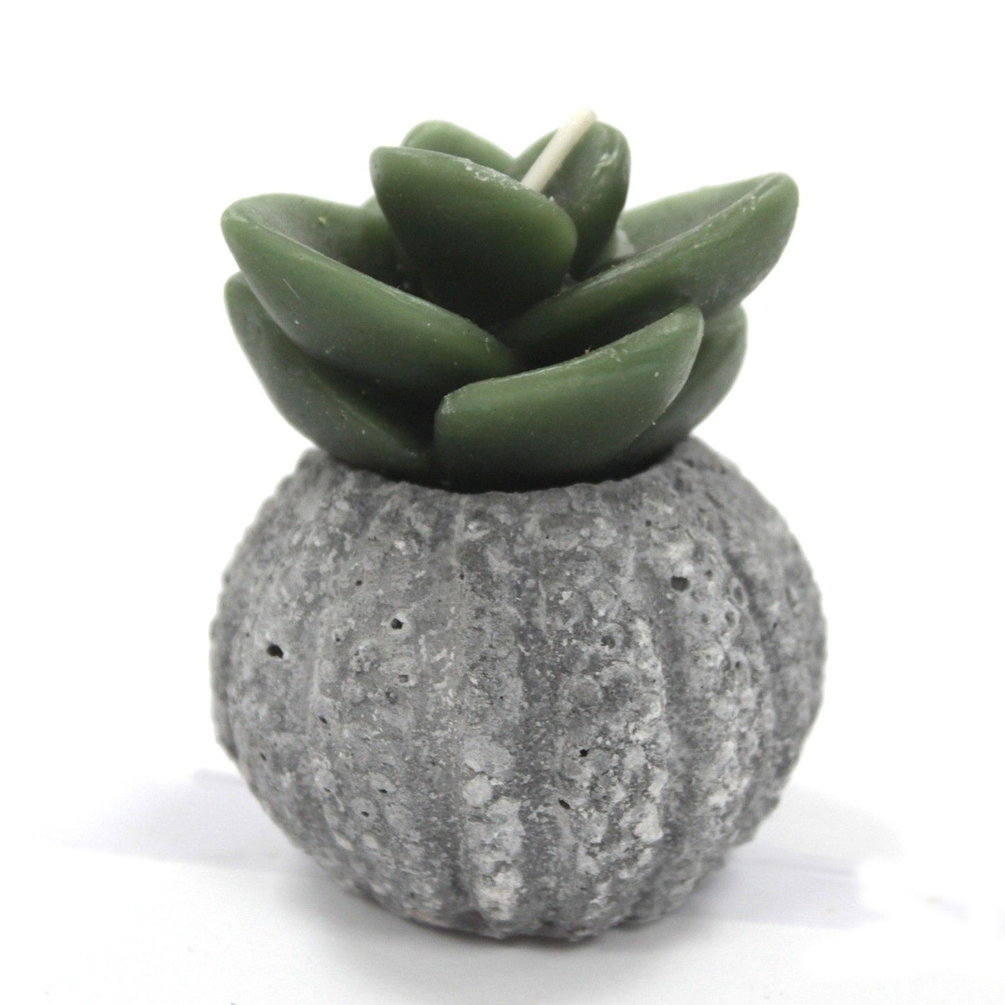 Cactus Candles - Cactus Pot (asst) Display