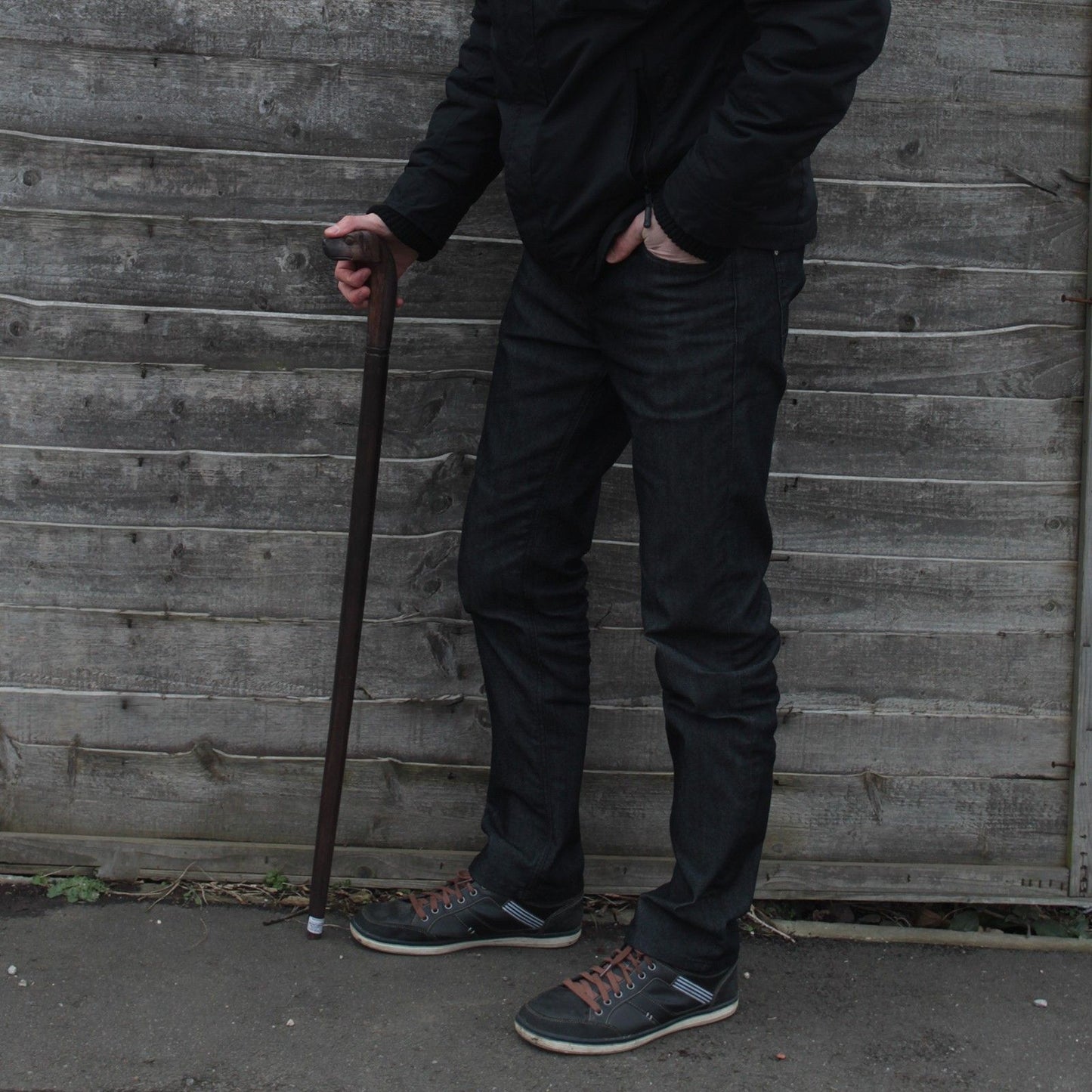 Walking Stick - Dog