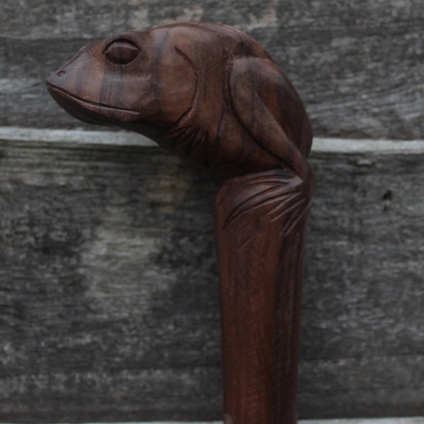 Walking Stick - Frog
