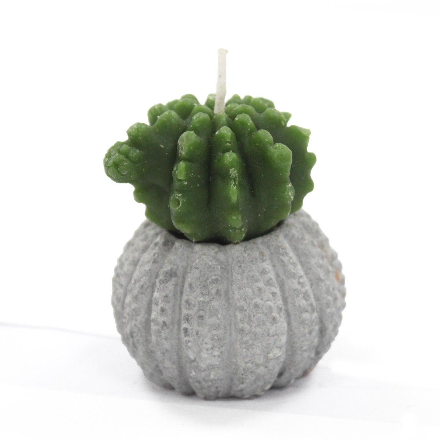 Cactus Candles - Cactus Pot (asst) Display