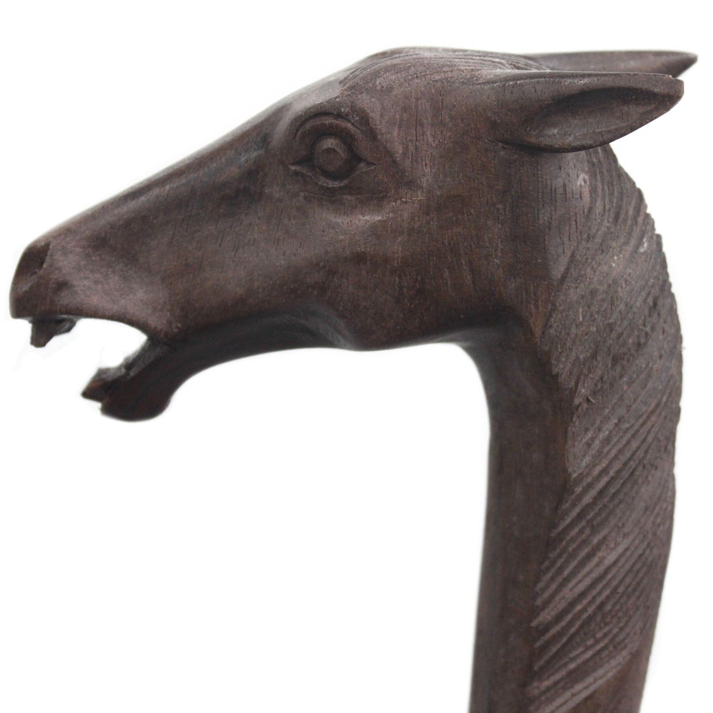 Walking Stick - Horse