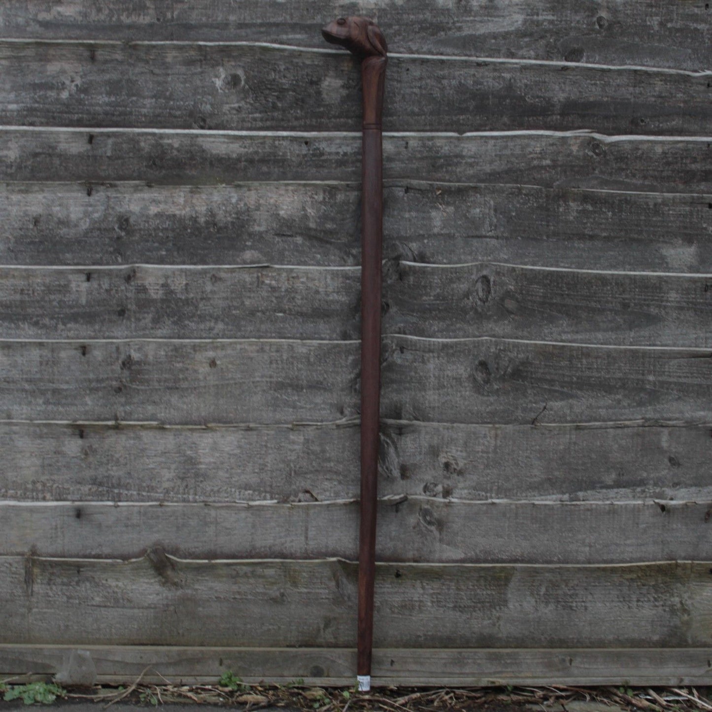 Walking Stick - Frog