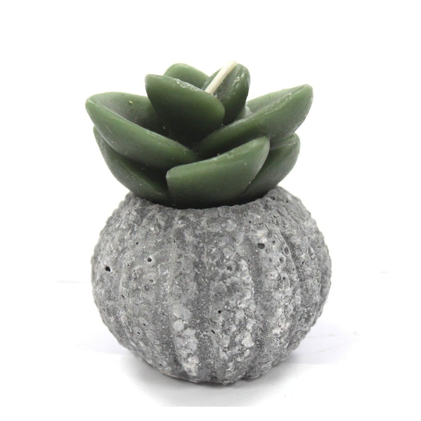 Cactus Candles - Cactus Pot (asst) Display